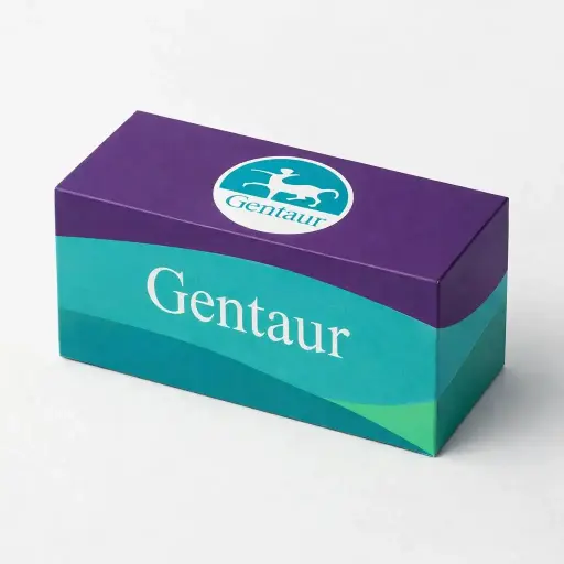 GLHD 44 CAG Genemer Control DNA Huntington; 500 ng