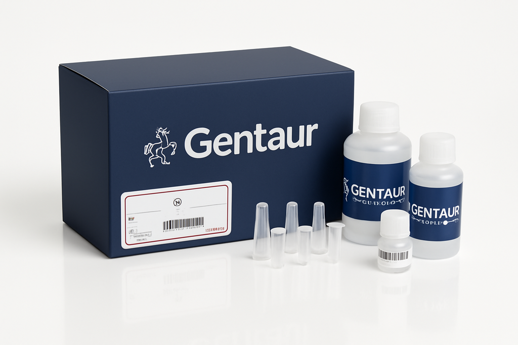 RNA/DNA Purification Micro Kit – 50300