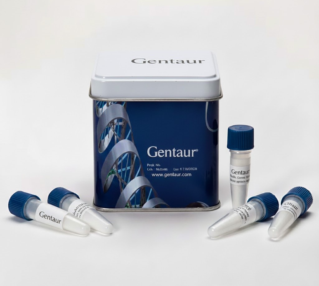 Proteinase K in Storage Buffer (20mg/mL)