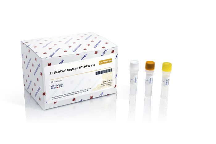 [ks-1520] 2019-nCoV Primer Positive Control – TM67102