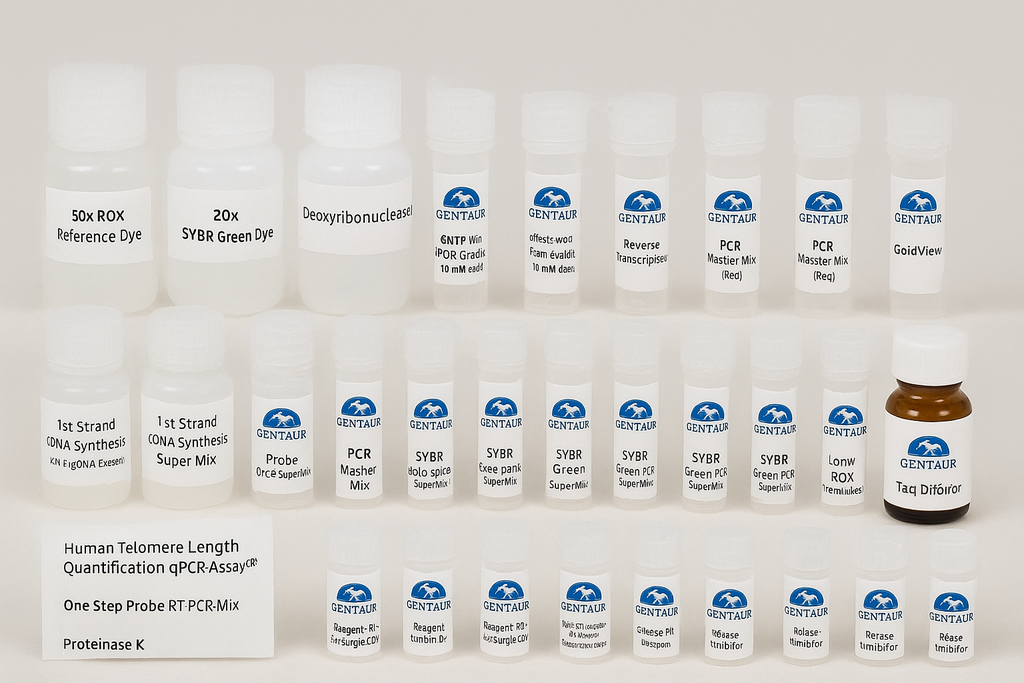 SYBR Color qPCR SuperMix (High ROX Premixed)