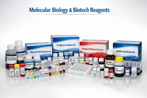 Ultra Nuclease Assay Kit 2.0 (ELISA)