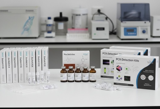 [P0082] AmplyMAX Multiplex PCR Master Mix