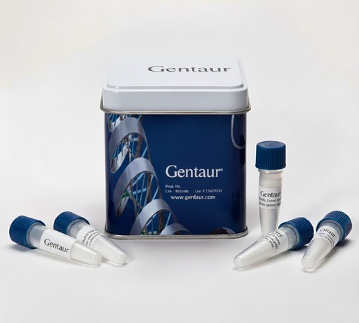 [ks-1484] Proteinase K in Storage Buffer (20mg/mL) - 28361