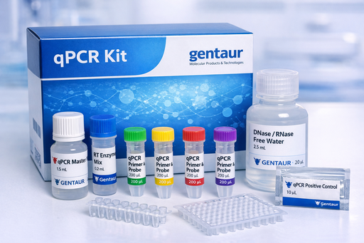 [sk- 5882] REAL-Detect African Swine Fever Virus RT-qPCR kit