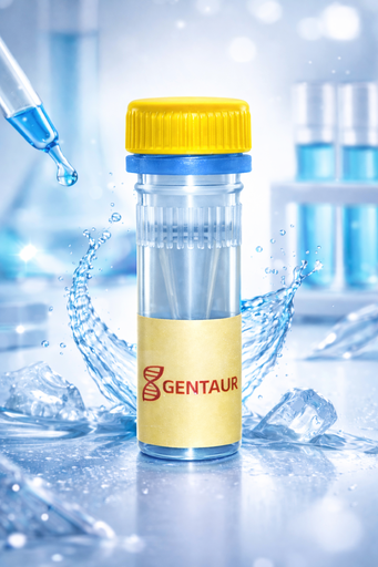 [SK2035] Advanced Reverse Transcriptase (200 U/µL)